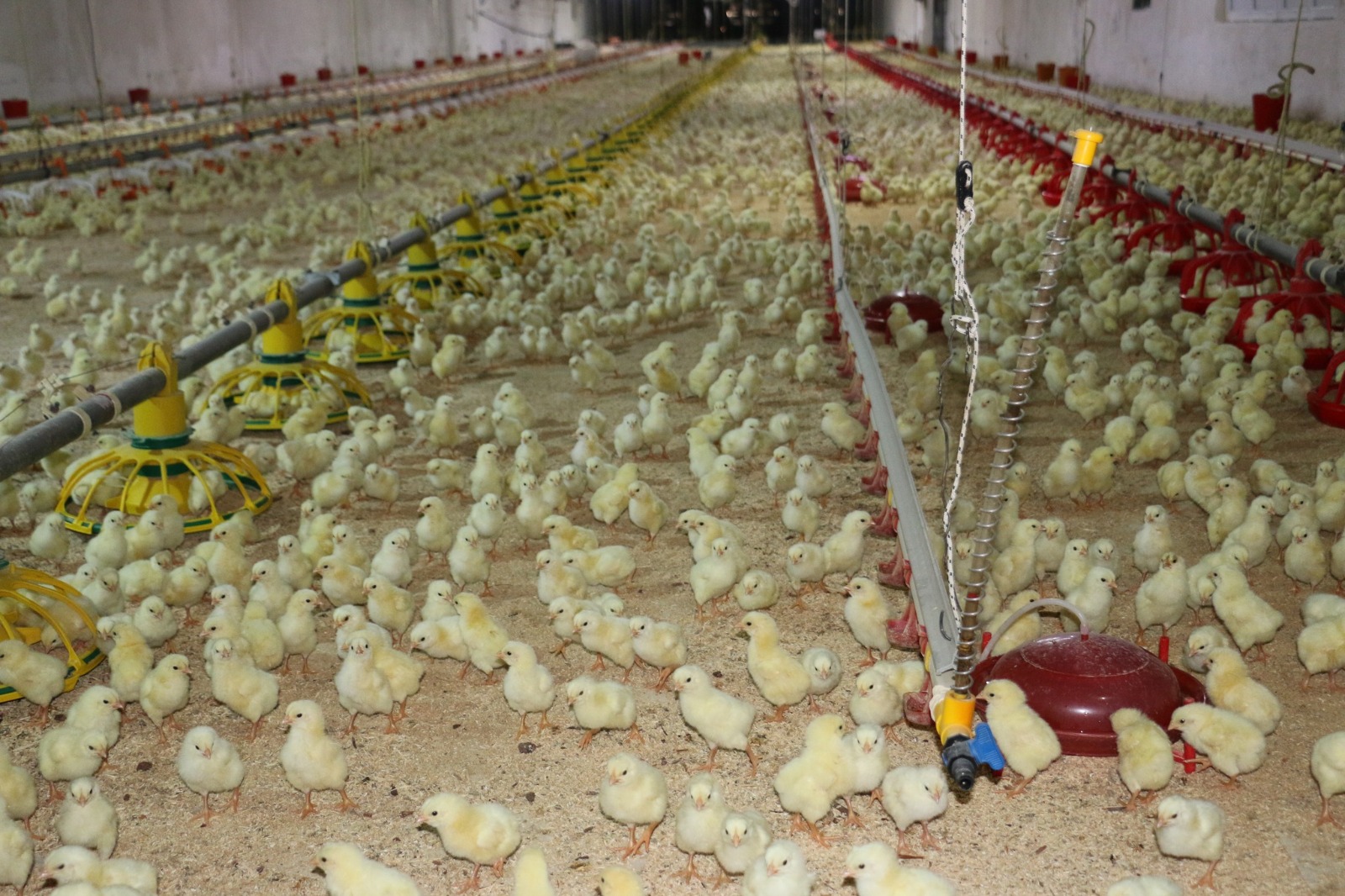 Erzincan’da Birlikten Kuvvet Doğacak