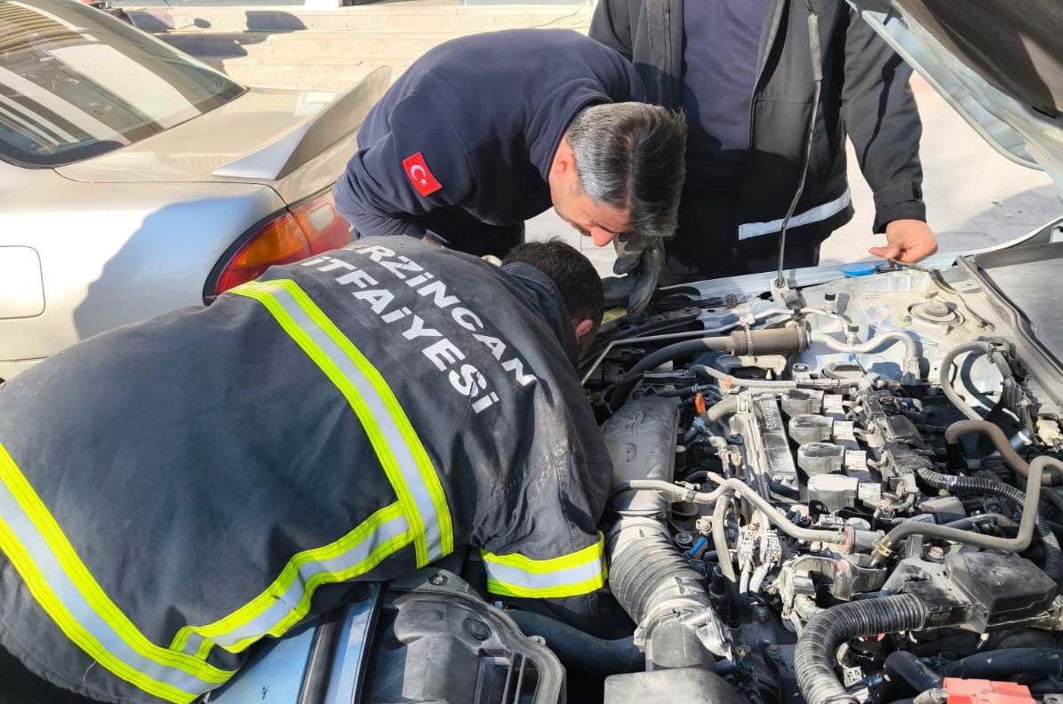 Aracın Motor Kısmına Giren Yavru Kedi Kurtarıldı