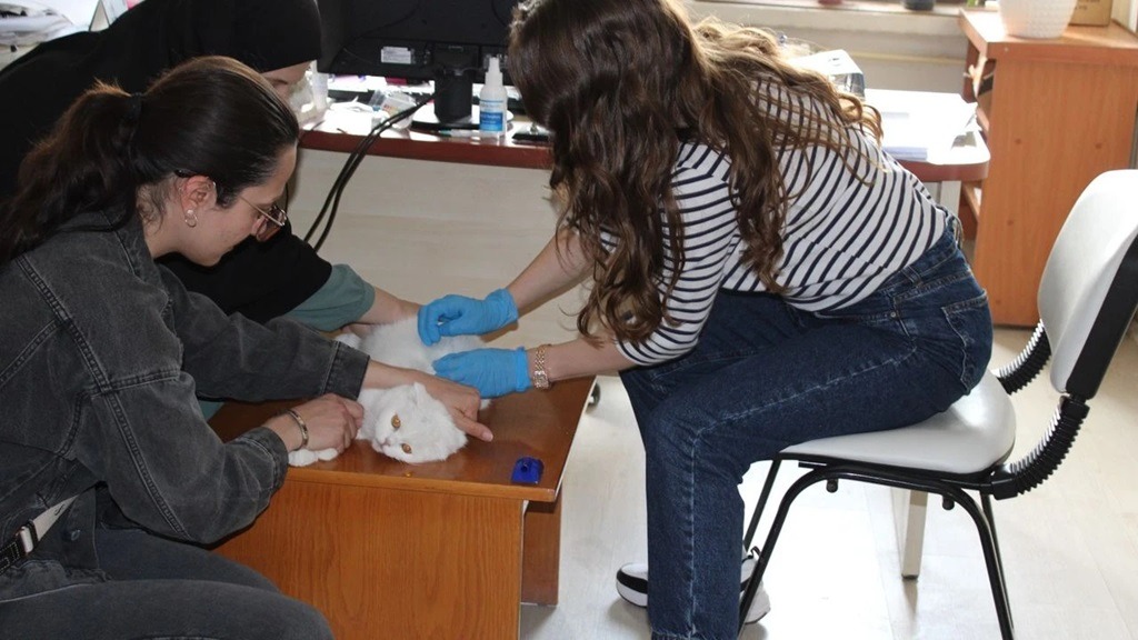 Erzincan’daki Evcil Hayvan Sahiplerine Önemli Uyarı