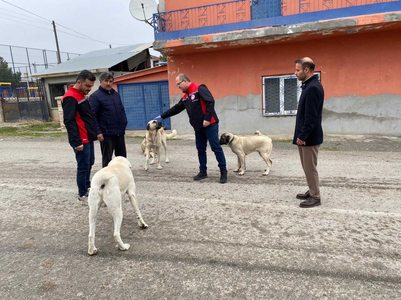 Erzincan’da Kuduz Tehdidine Karşı “Oral” Barikat